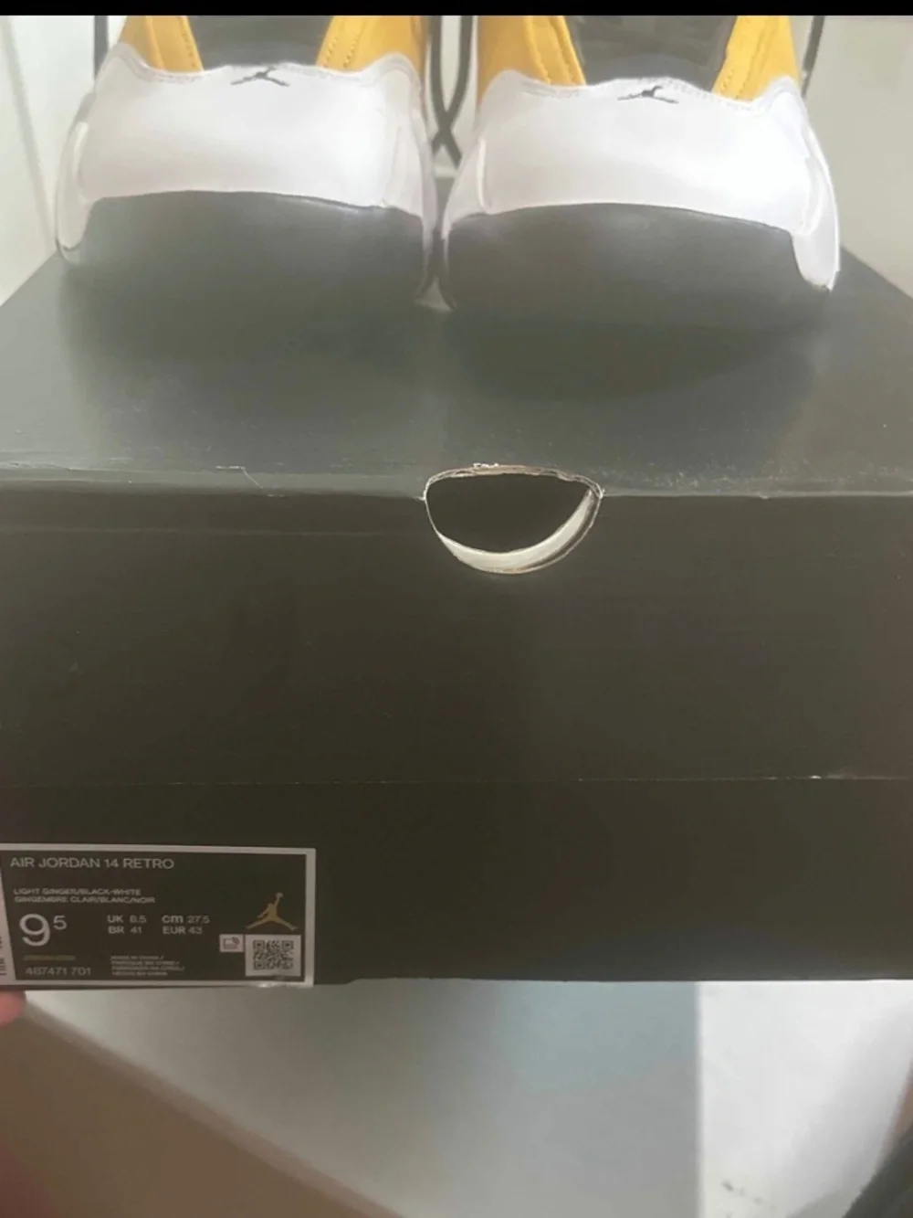 Jordan 14 gingers